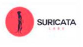 Suricata Labs